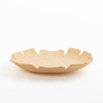 Pappami® Piatto Piano